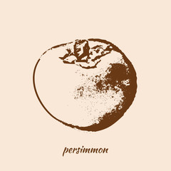 Graphic persimmon hand drawn illustration isolated on vintage background, Vintage style vector fruit sketch