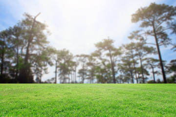 Obraz premium The landscap background retouch vintage style in nature