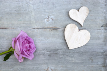 Fototapeta premium Pink purple rose on a grey old wooden background with white wash heart shape tags with empty copy space 