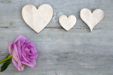 Plakat Pink purple rose on a grey old wooden background with white wash heart shape tags with empty copy space 
