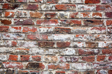 Naklejka premium red brick wall texture background