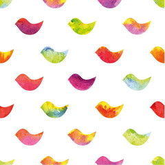 colorful birds on a white background. Vector illustration