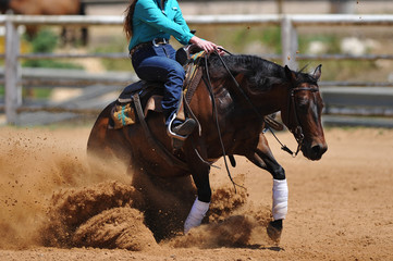 The side view of the rider sliding his horse forward on the clay field raising up the clouds of dust