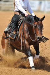 The front view of the rider in leather chaps sliding his horse forward and raising up the clouds of dust