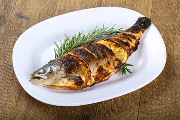grilled trout