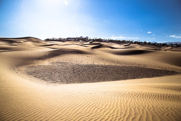 Sandy dunes in famous natural Maspalomas beach, Gran Canaria. Sp