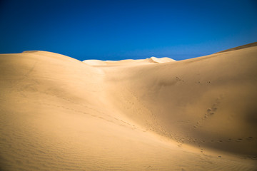 Fototapeta na wymiar Sandy dunes in famous natural Maspalomas beach, Gran Canaria. Sp