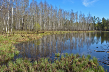 Obraz premium Water spring landscape.