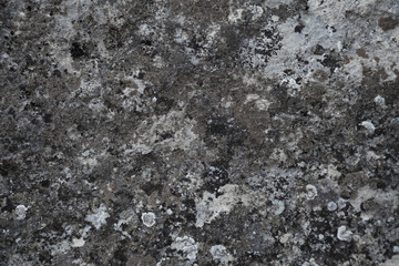stone texture