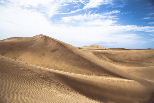 Sandy dunes in famous natural Maspalomas beach, Gran Canaria. Sp © Aleksandar Todorovic