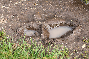 Footprint in the mug