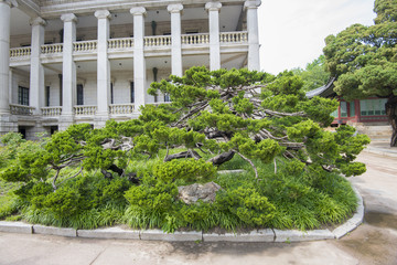 SEOUL,South Korea - MAY 24: Seokjojeon hall of Deoksugung palace