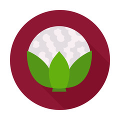 Cauliflower flat circle icon