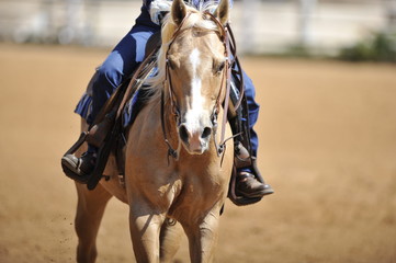 The front view of rider on horseback galloping ahead