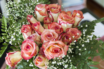 bunch of yellow roses edged with red in the composition of green