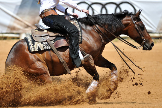 The side view of the rider sliding his horse forward on the clay field raising up the clouds of dust