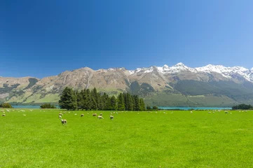 Fototapeten Neuseeland Berge © Fyle