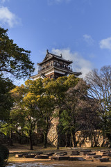 Obraz premium 冬の広島城の風景