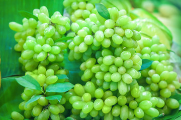 Grapes