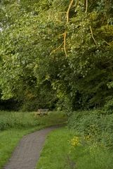 Fototapeten houten bankje in het park, in het licht van ondergaande zon © monicaclick
