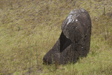 buried moai head Easter Island Chile 
