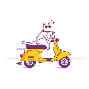 Illustration cat travel