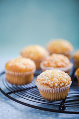 Homemade lemon muffins