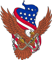 Obraz premium American Eagle Wings USA Flag Drawing