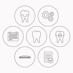Dental crown, braces and tooth icons.