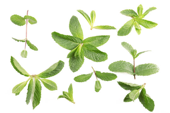 Fresh mint leaves pattern, top view
