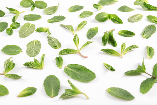 Fresh mint leaves pattern