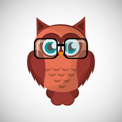 Animal design. owl icon. Isolated illustration , vector