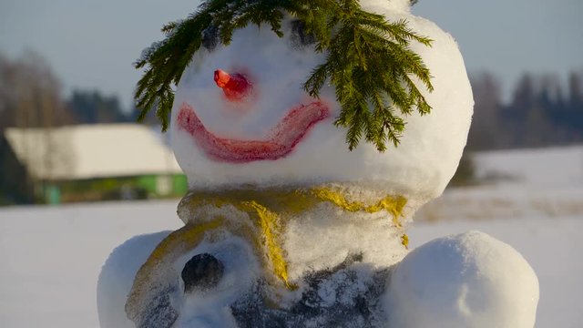 The greenplants on the snowman. A snowman is an anthropomorphic snow sculpture often built by children in regions with sufficient snowfall.