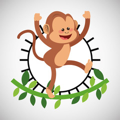 Animal design. monkey icon. Isolated illustration , vector