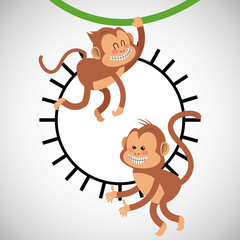 Animal design. monkey icon. Isolated illustration , vector