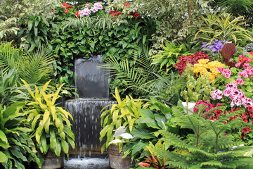 Blooming Flowers and Waterfall in a Greenhouse
