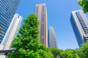 Naklejka premium 東京 西新宿 高層ビル 新緑