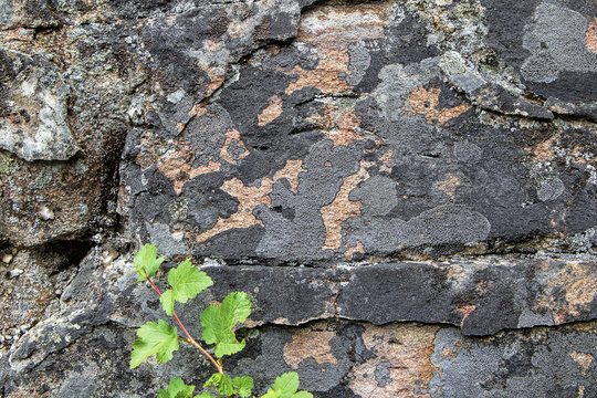 Interesting patterns on rock wall.
