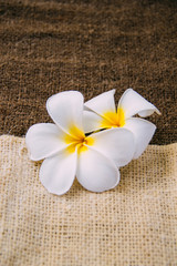hemp sack with Plumeria(frangipani)
