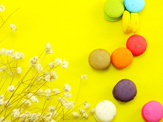 french macaroons with dried flower and copy space background