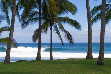 Obraz premium Grande Anse, Ile de la Réunion