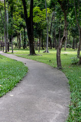 Obraz premium Concrete Pathway in garden