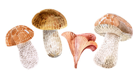 Set of watercolor mushrooms.