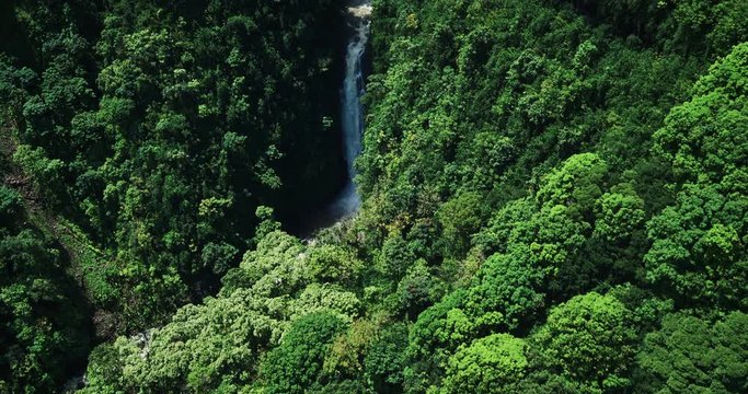 Aerial view revealing waterfall in tropical rain forest jungle
