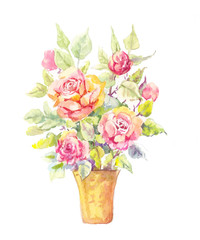 Rose potted illustration. Potted rose in watercolor. Sketch of b