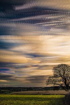timelapse movement of clouds at sunset with silhouette of tree and far reaching scenic landscape