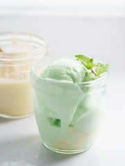 lime and vanilla ice cream