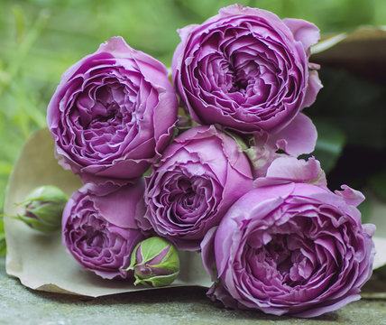 Fototapeta bouquet of pale purple roses close up with  buds