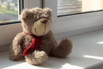 Soft Toy Bear on windowsill