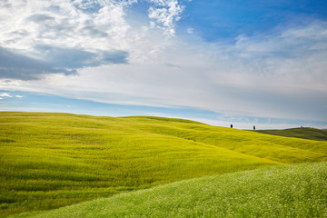 The beautiful colors of the spring in Tuscany